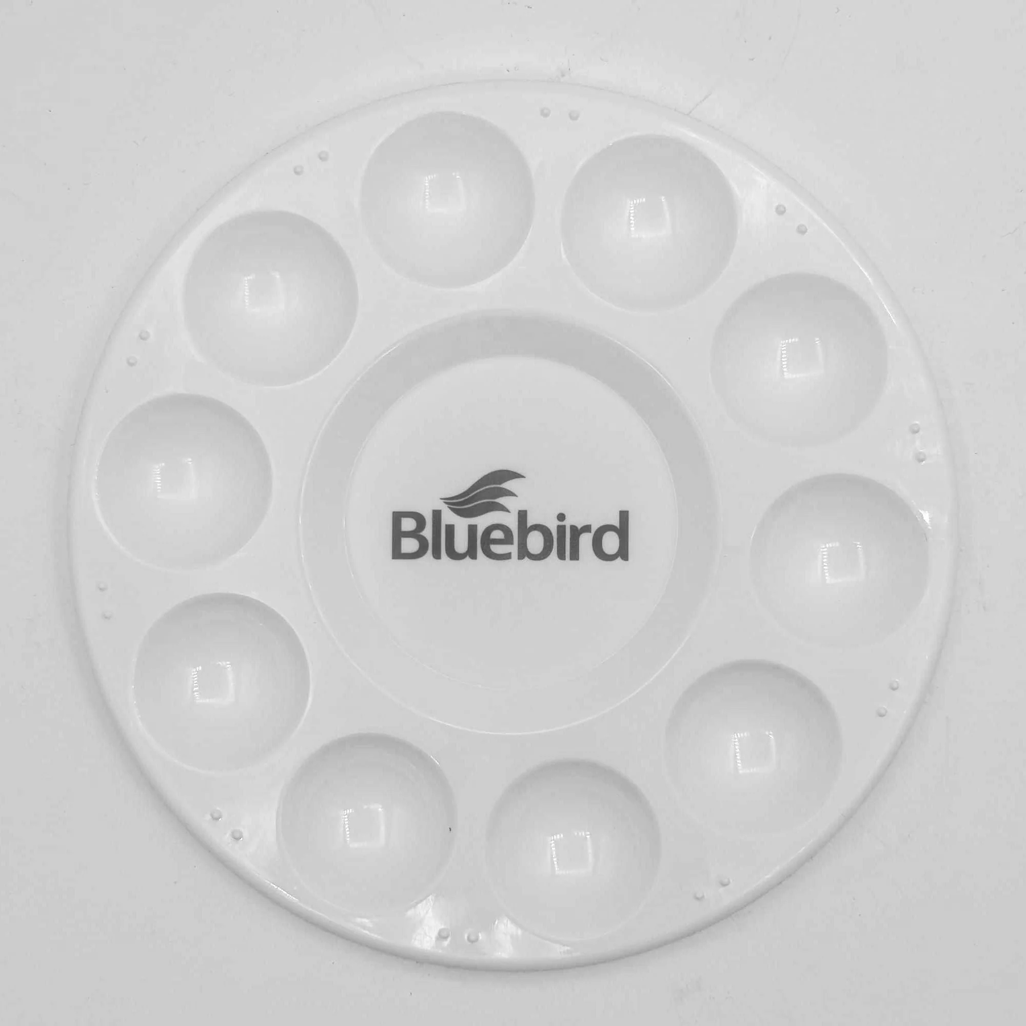 Plastic Paint Palette